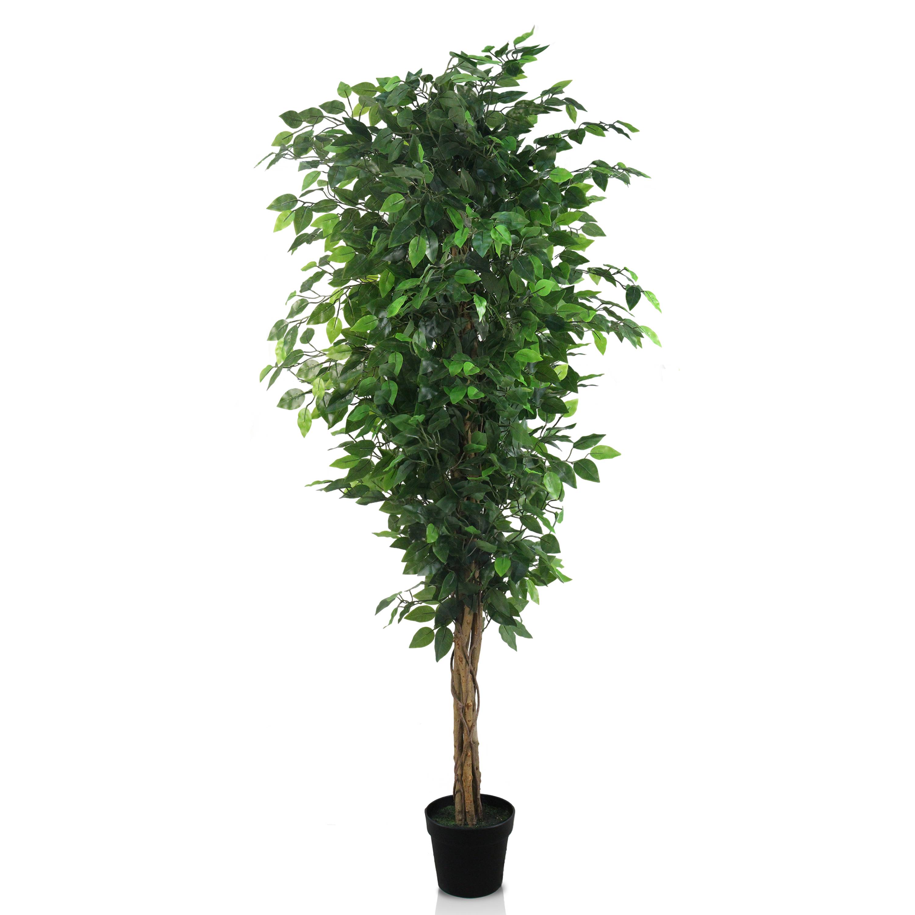 Ecloz - Ficus artificiel en pot - H. 170 cm - ECLOZ - Image 1