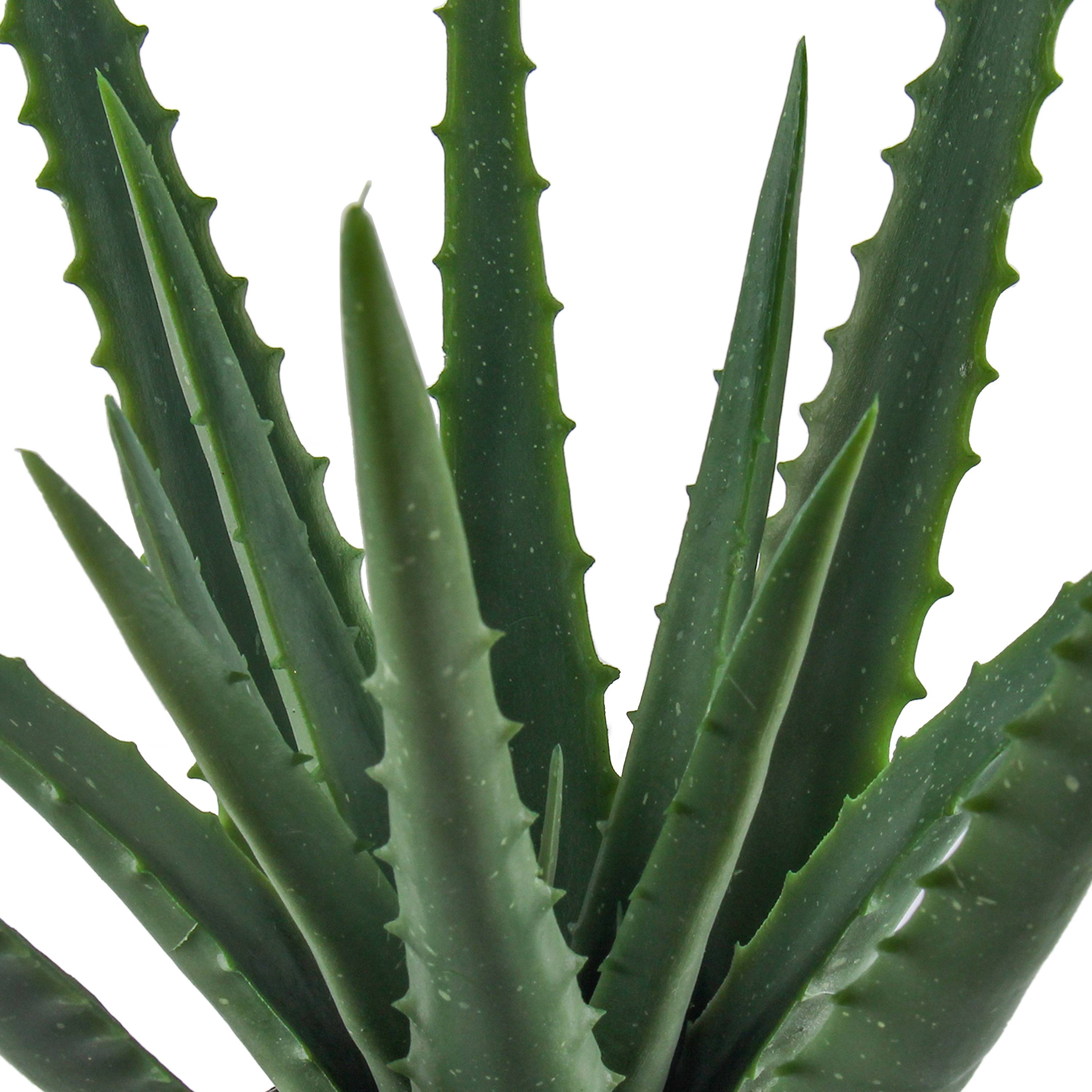 Ecloz - Aloé vera artificielle en pot - H. 51 cm - ECLOZ - Image 3