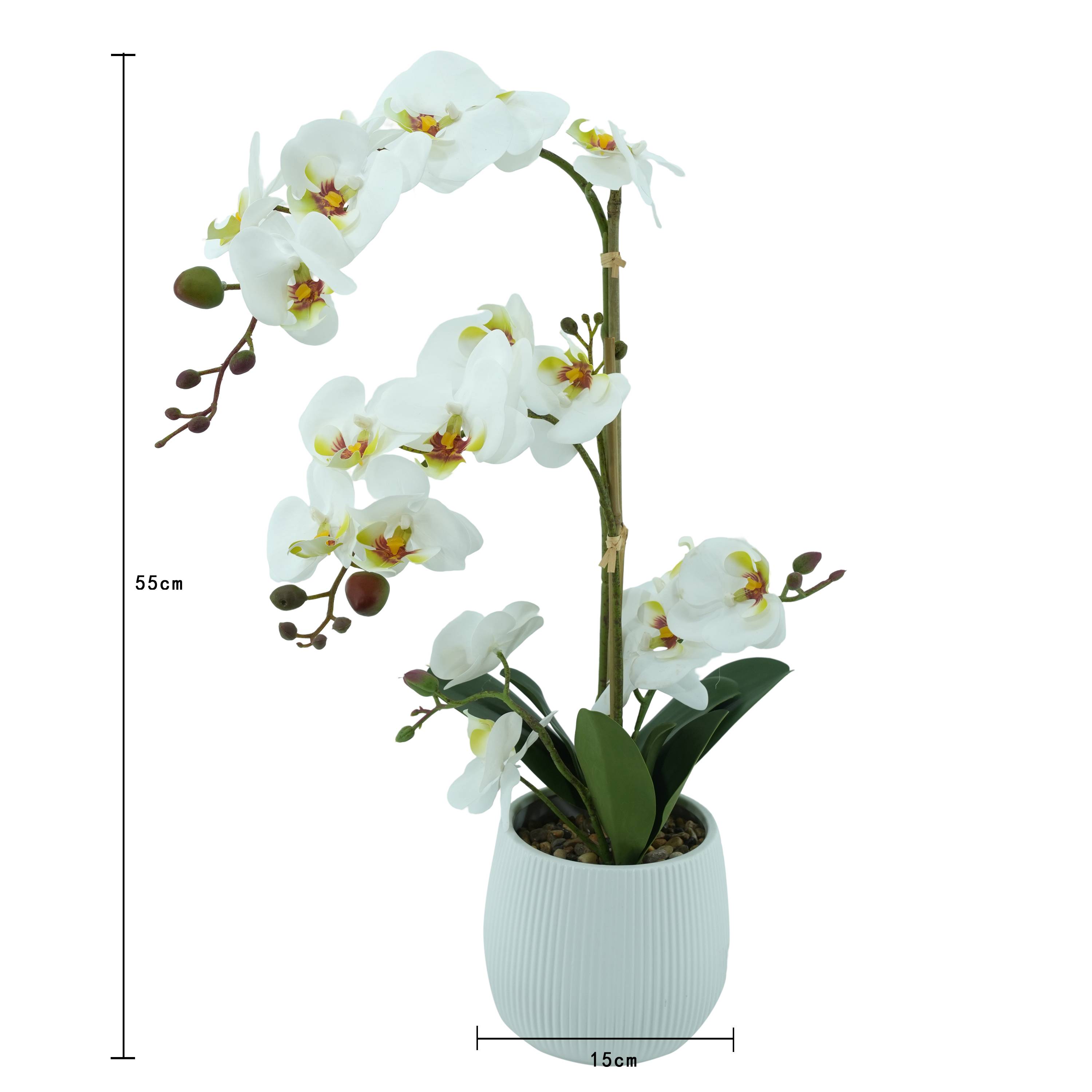 Ecloz - Orchidée phalaénopsis artificielle en pot - 2 tiges blanches - H. 55 cm - ECLOZ - Image 4