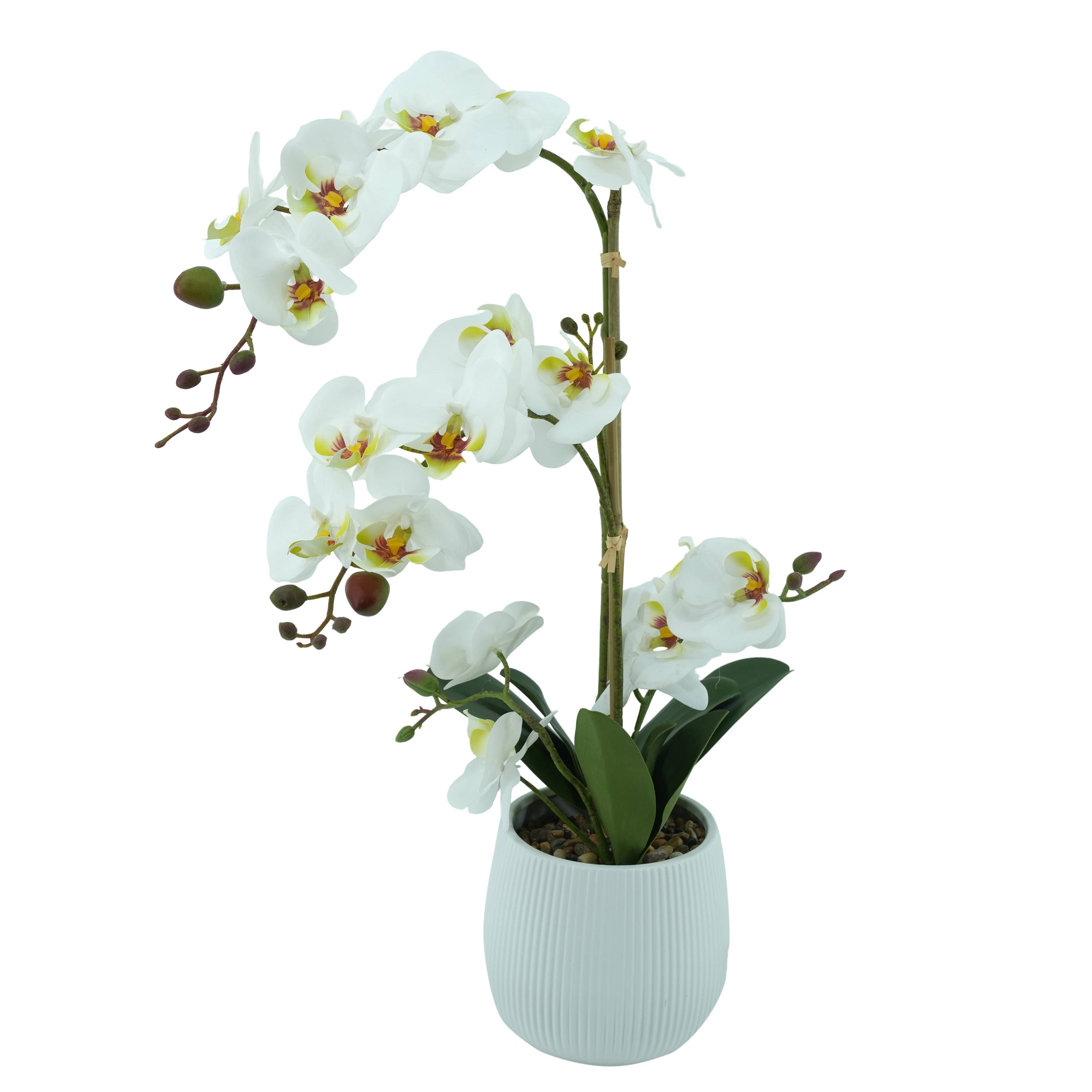Ecloz - Orchidée phalaénopsis artificielle en pot - 2 tiges blanches - H. 55 cm - ECLOZ - Image 1