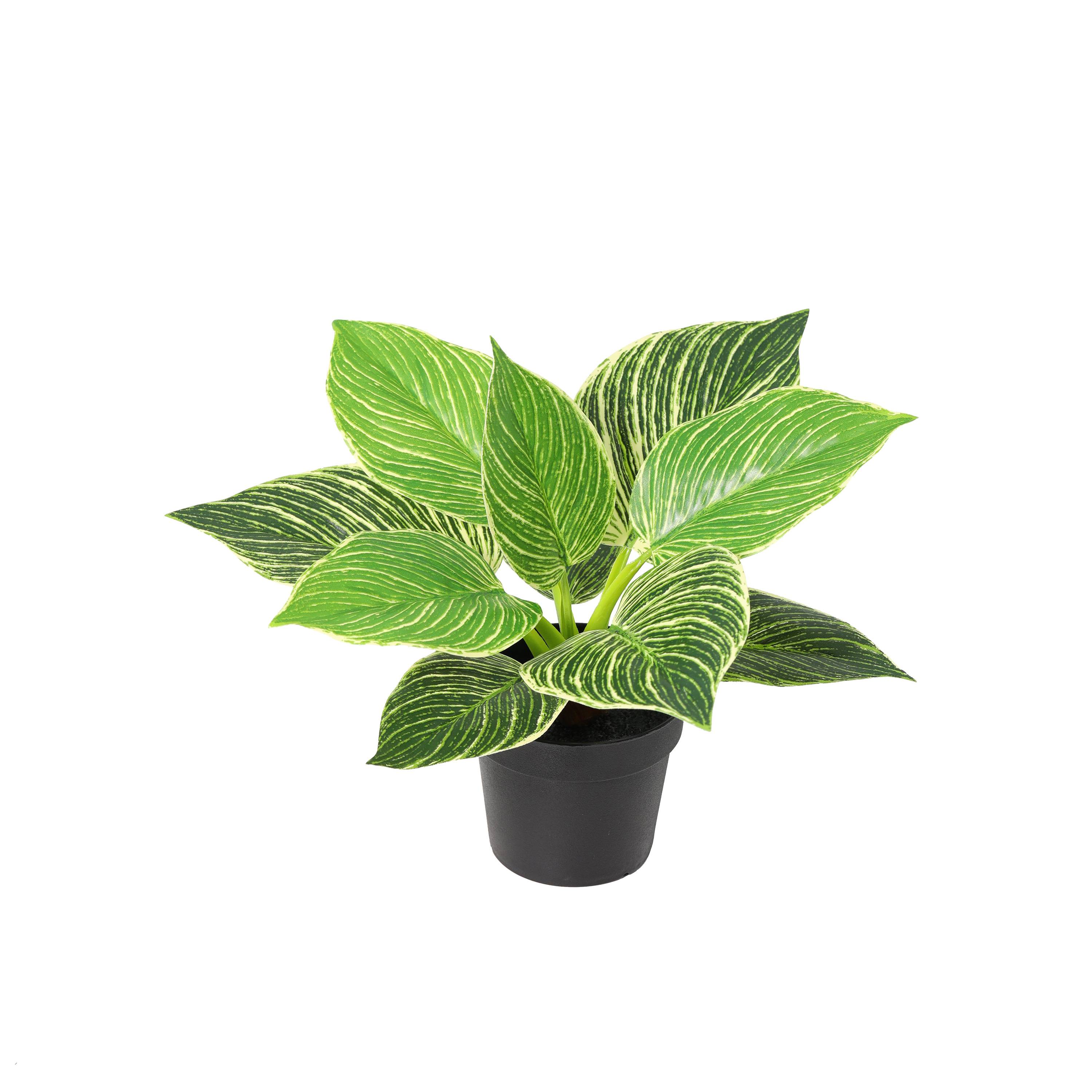Ecloz - Philodendron artificiel en pot - H. 21 cm - ECLOZ - Image 1