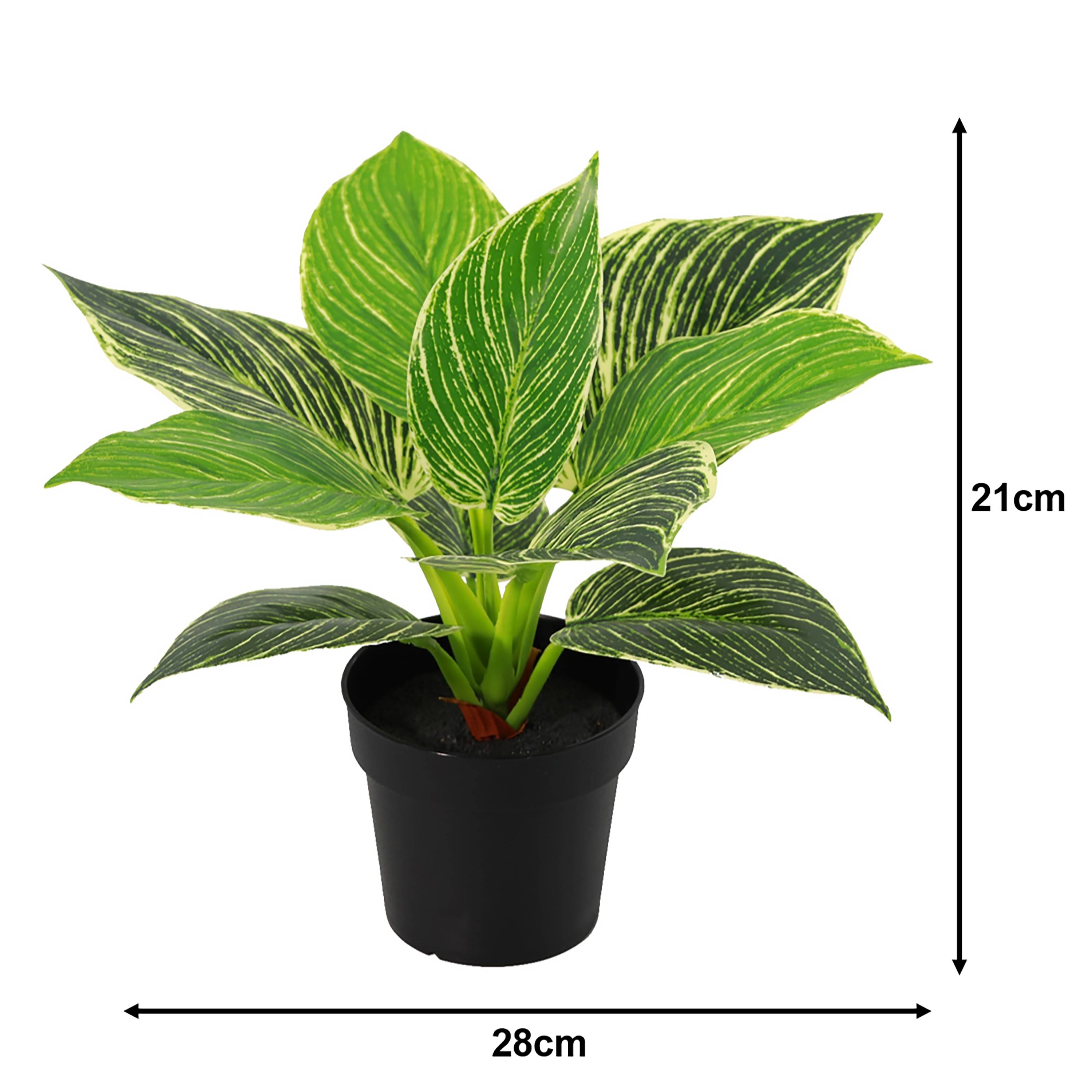 Ecloz - Philodendron artificiel en pot - H. 21 cm - ECLOZ - Image 3