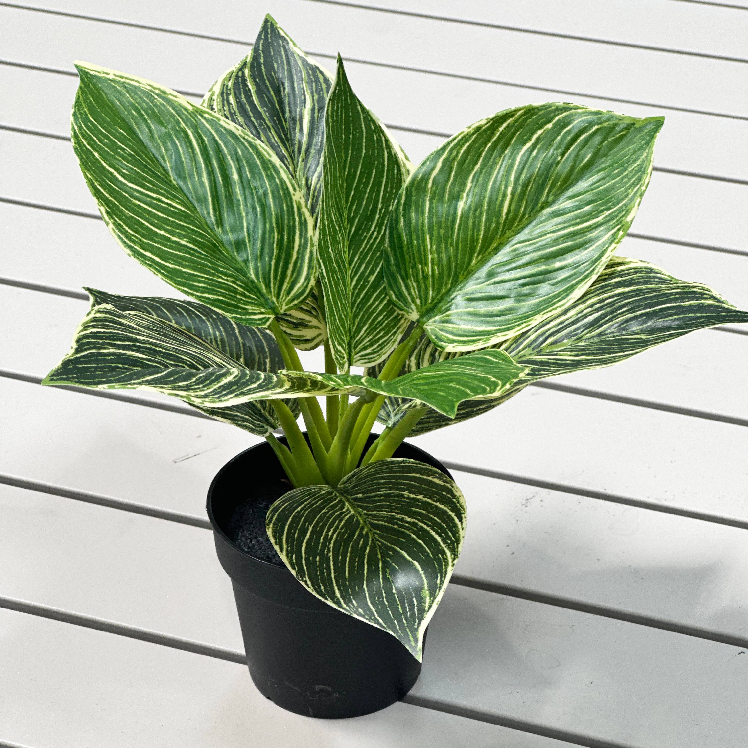 Ecloz - Philodendron artificiel en pot - H. 21 cm - ECLOZ - Image 4