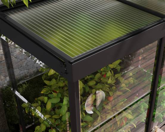 Canopia by Palram - Serre de jardin polycarbonate aluminium noir 0,8 m² Ivy avec embase - Canopia by Palram - Image 2
