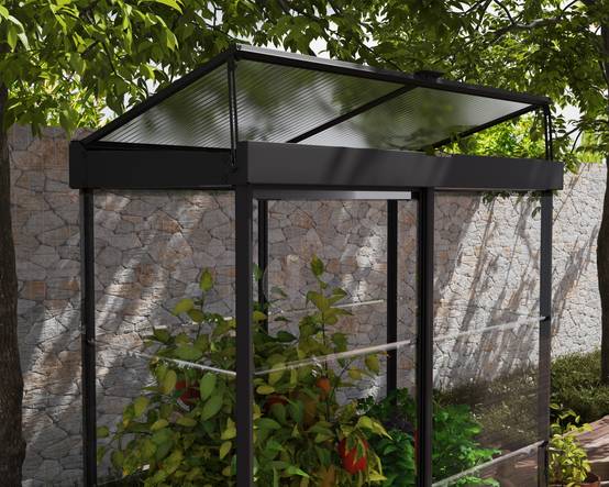Canopia by Palram - Serre de jardin polycarbonate aluminium noir 0,8 m² Ivy avec embase - Canopia by Palram - Image 6