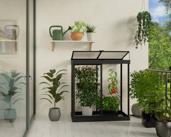 Canopia by Palram - Serre de jardin polycarbonate aluminium noir 0,8 m² Ivy avec embase - Canopia by Palram - Image 7