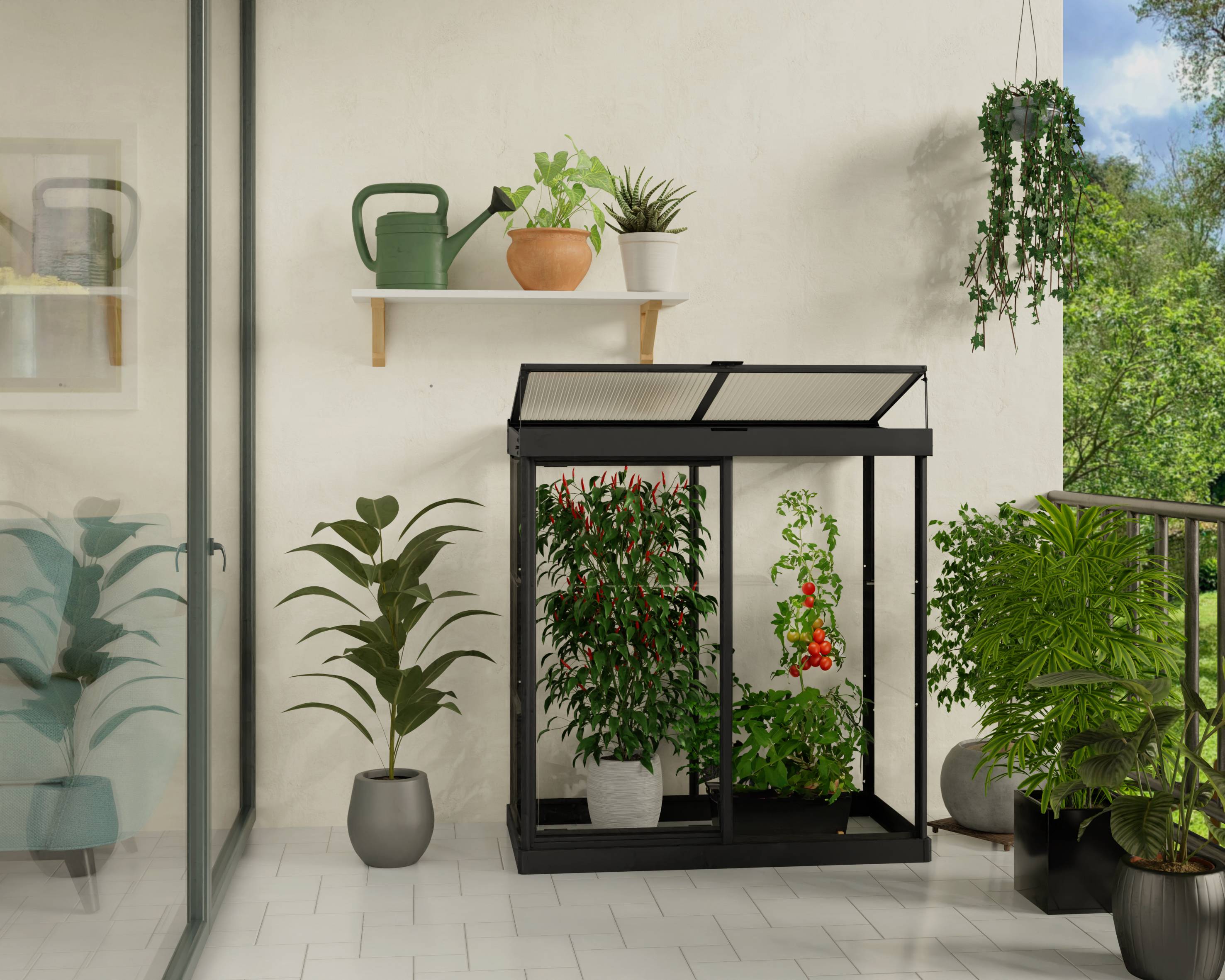 Canopia by Palram - Serre de jardin polycarbonate aluminium noir 0,8 m² Ivy avec embase - Canopia by Palram - Image 7