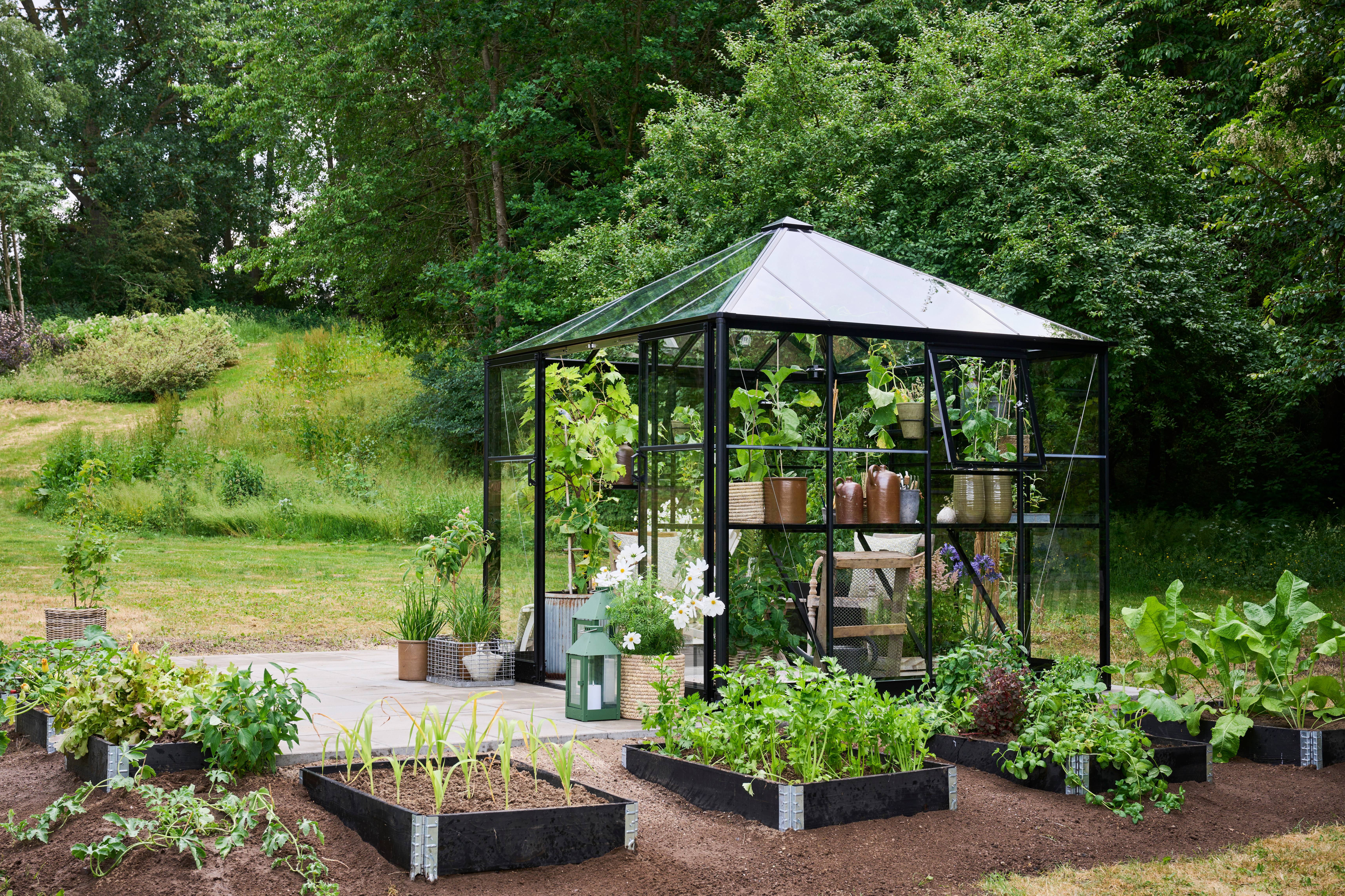 Halls - Serre de jardin verre trempé aluminium noir 6,3 m² Qube Square 8 - Halls - Image 6