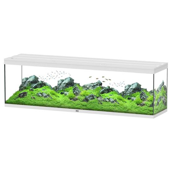 Aquatlantis - Aquarium pour poissons Splendid Blanc 500 L - Aquatlantis - Image 1
