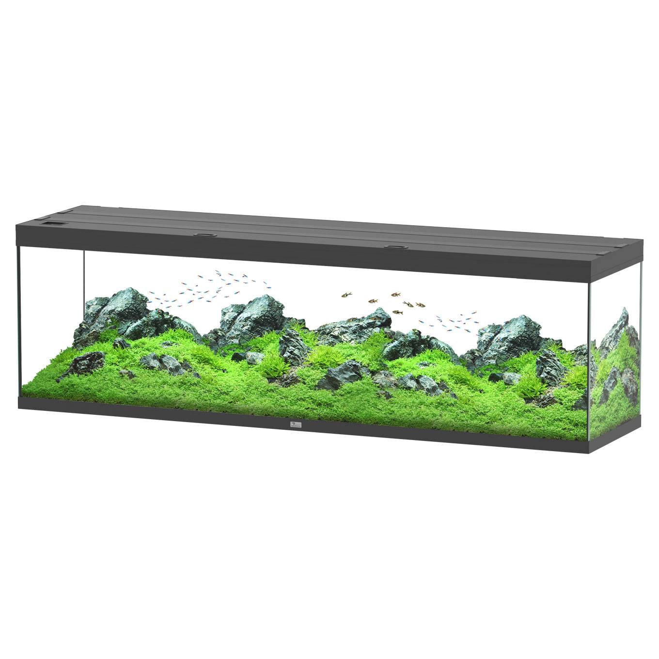 Aquatlantis - Aquarium pour poissons Splendid Noir 500 L - Aquatlantis - Image 1