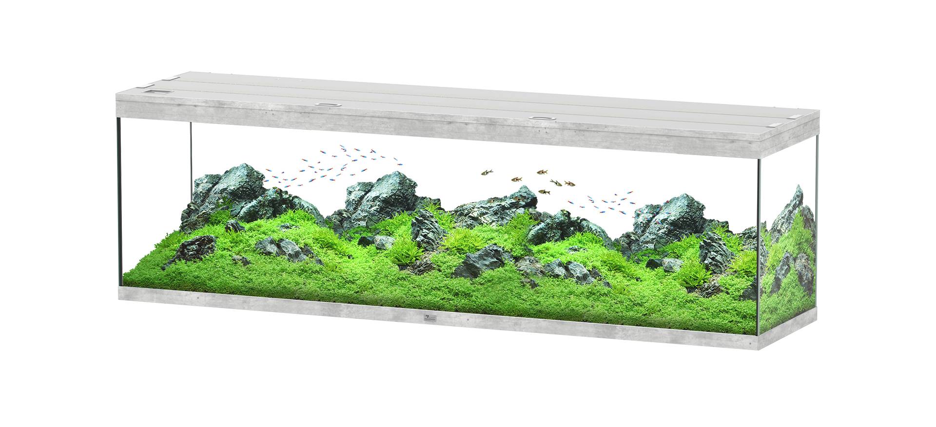 Aquatlantis - Aquarium pour poissons Splendid Béton 500 L -  Aquatlantis - Image 1