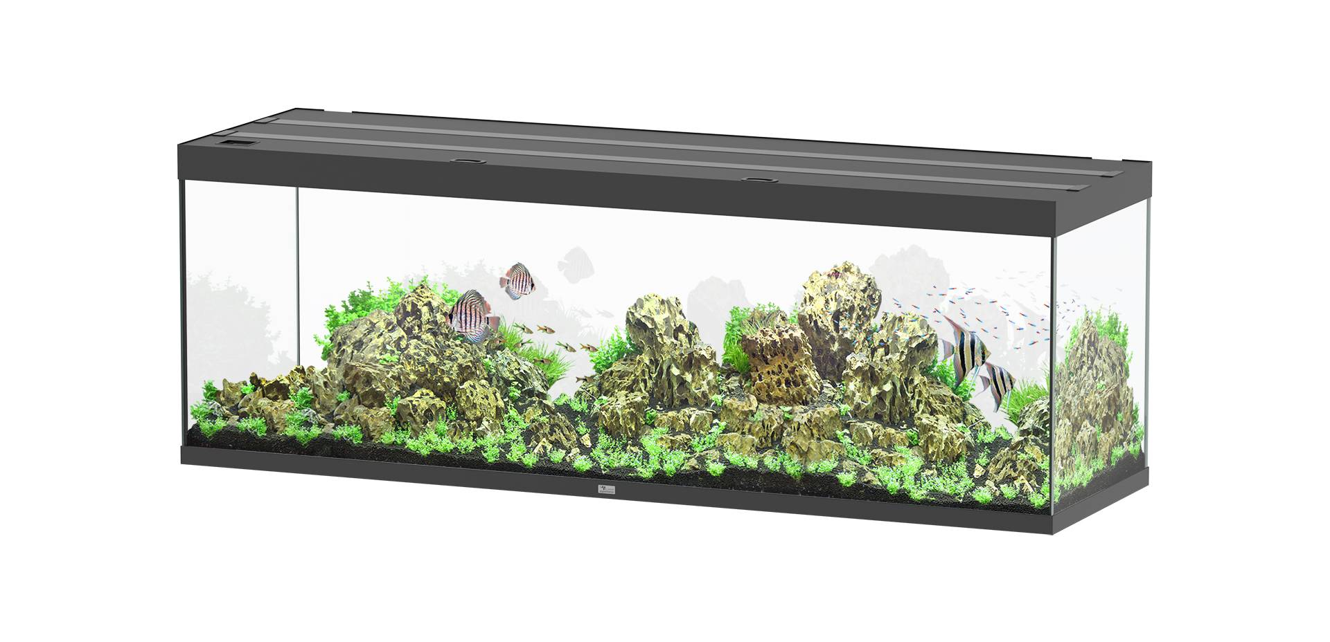 Aquatlantis - Aquarium pour poissons Sublime Ultra Noir Brillant 675 L - Aquatlantis - Image 1