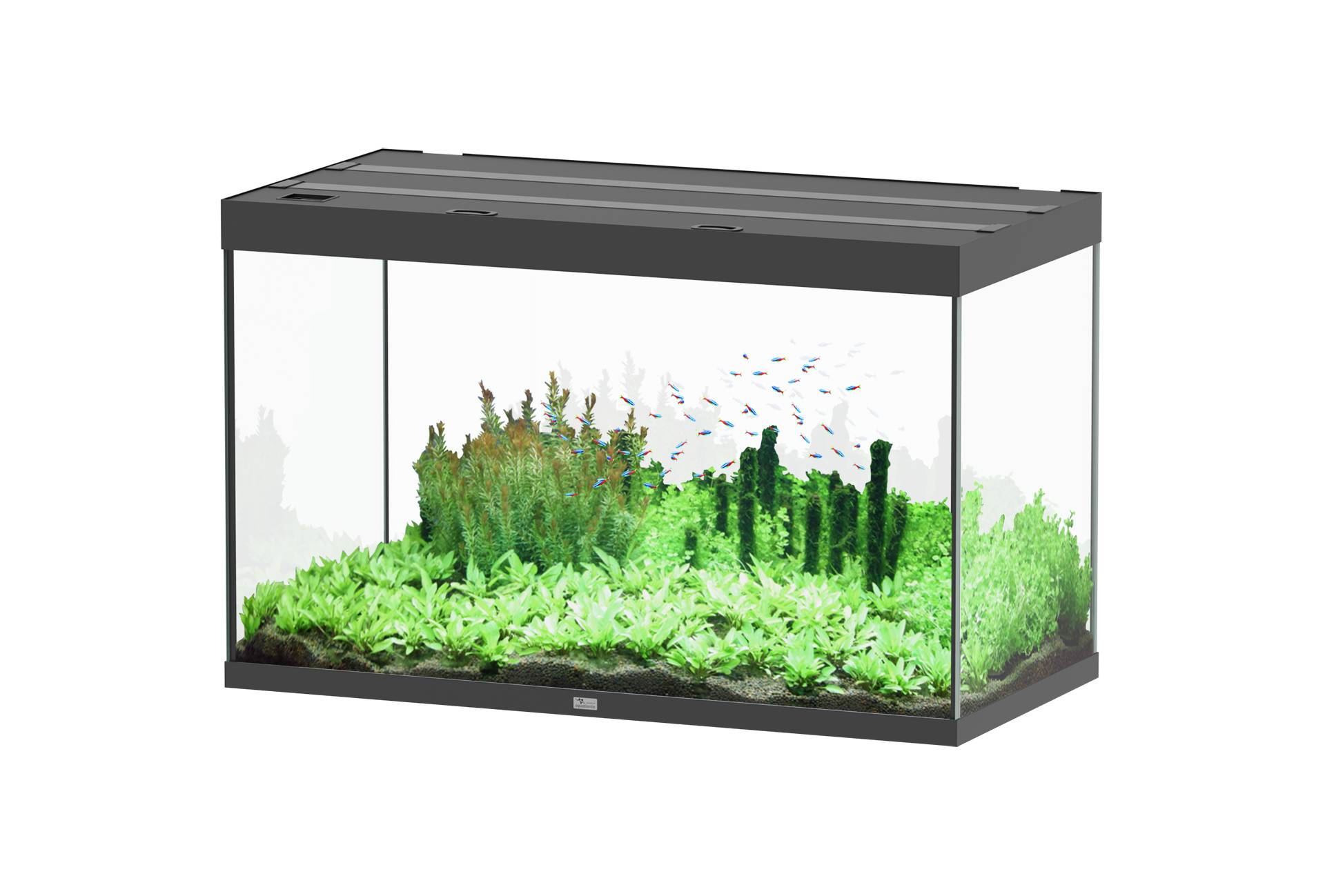 Aquatlantis - Aquarium pour poissons Sublime Ultra Noir Brillant 433 L - Aquatlantis - Image 1