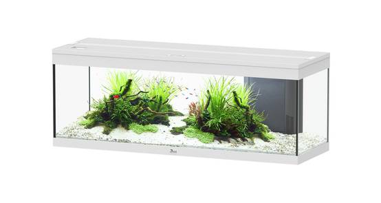 Aquatlantis - Aquarium pour poissons Prestige 170L Blanc-Aquatlantis