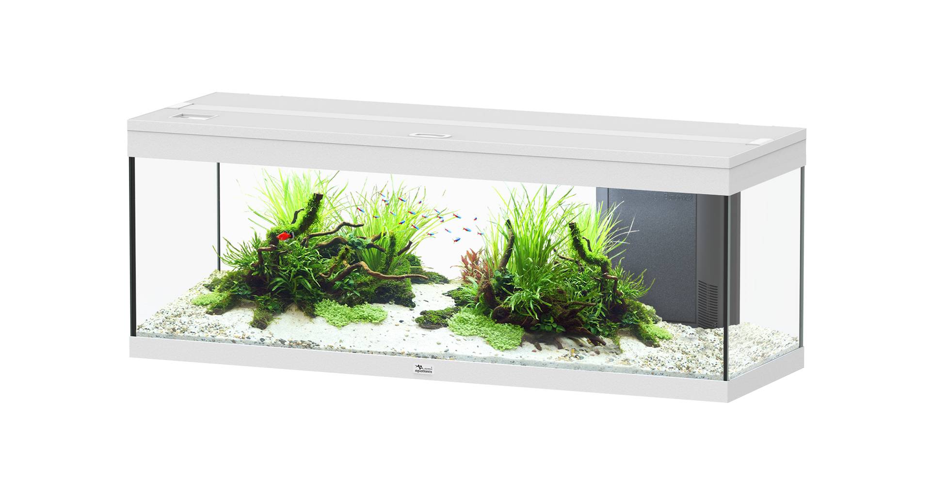 Aquarium pour poissons Prestige 170L BlancAquatlantis Gamm vert — free download