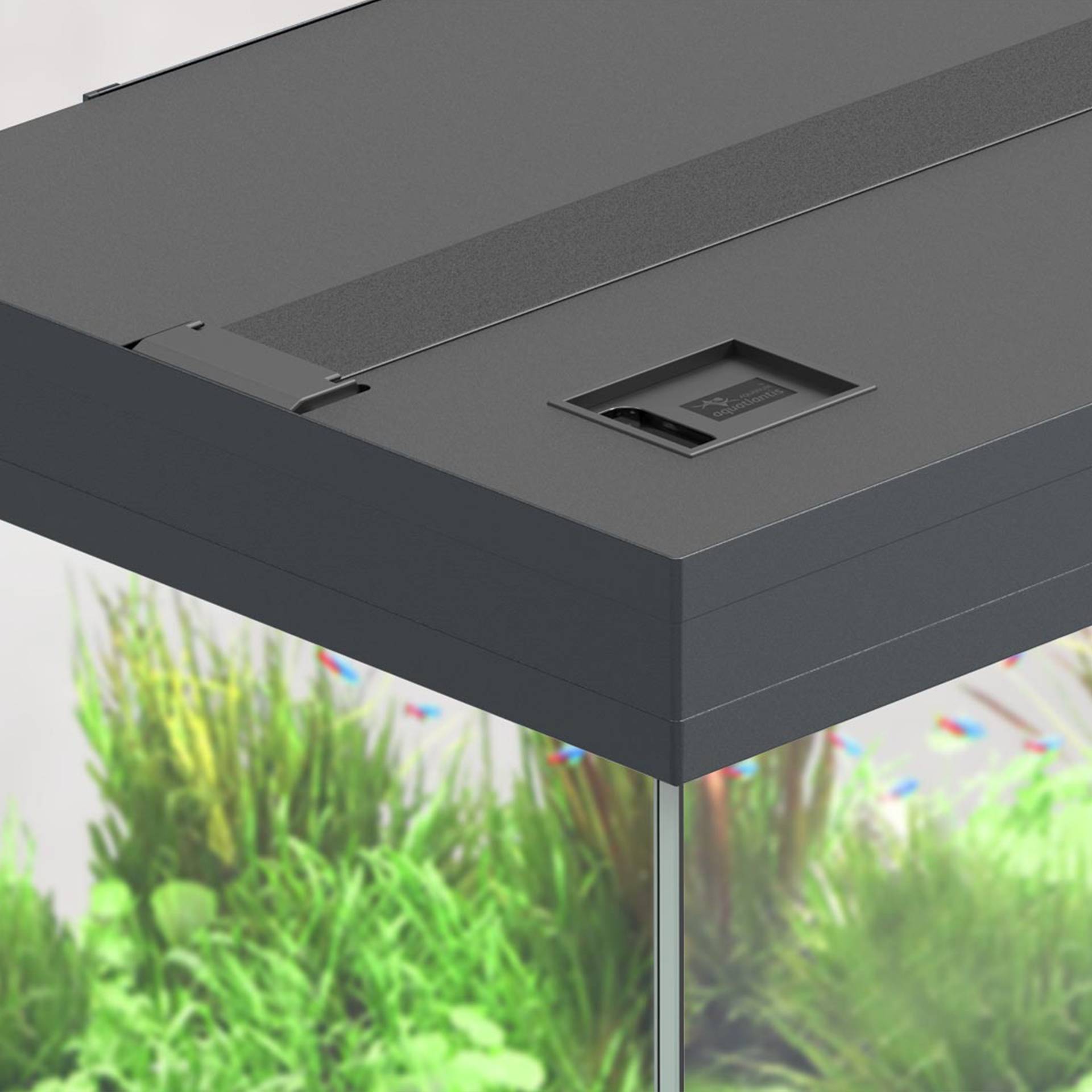 Aquatlantis - Aquarium pour poissons Prestige Blanc 170 L - Aquatlantis - Image 4