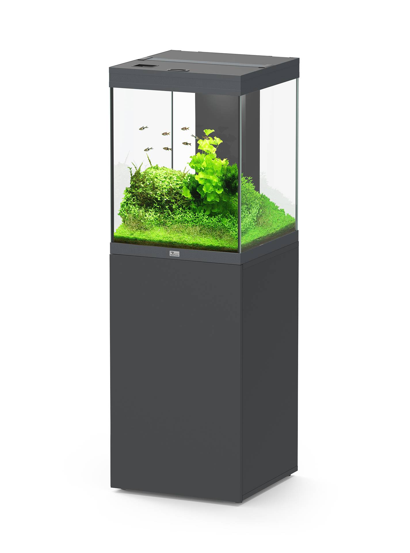 Aquatlantis - Ensemble Aquarium pour poissons + Meuble Gris 133 L - Aquatlantis