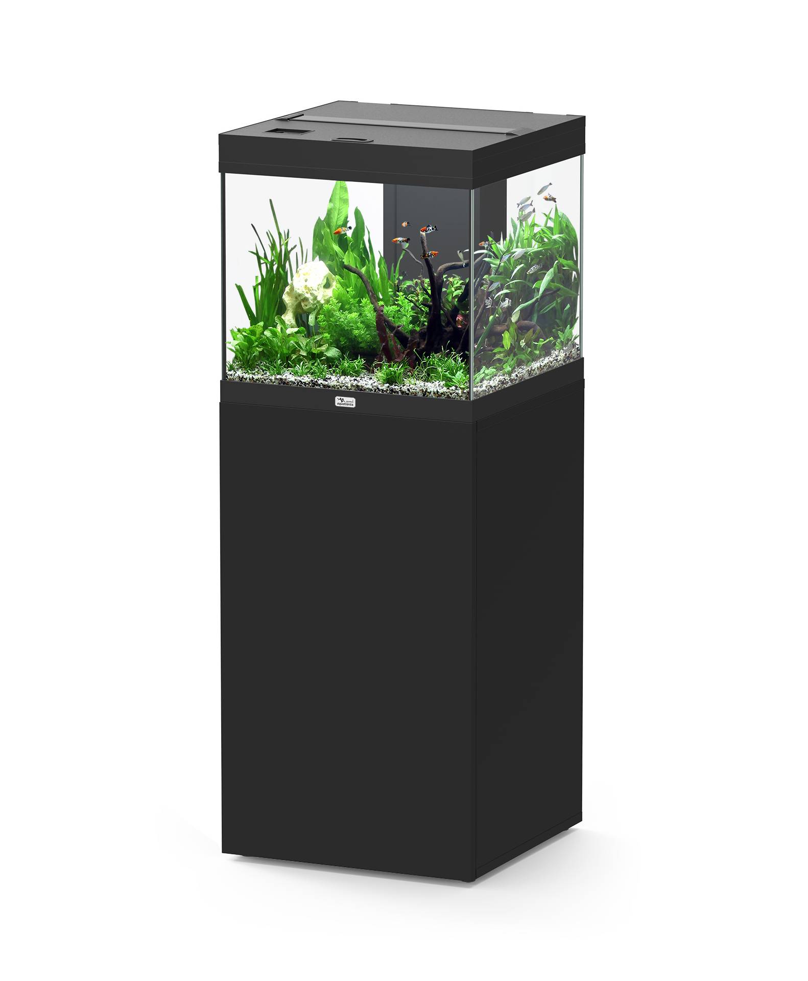 Aquatlantis - Ensemble Aquarium pour poissons + Meuble Noir 97 L - Aquatlantis - Image 1