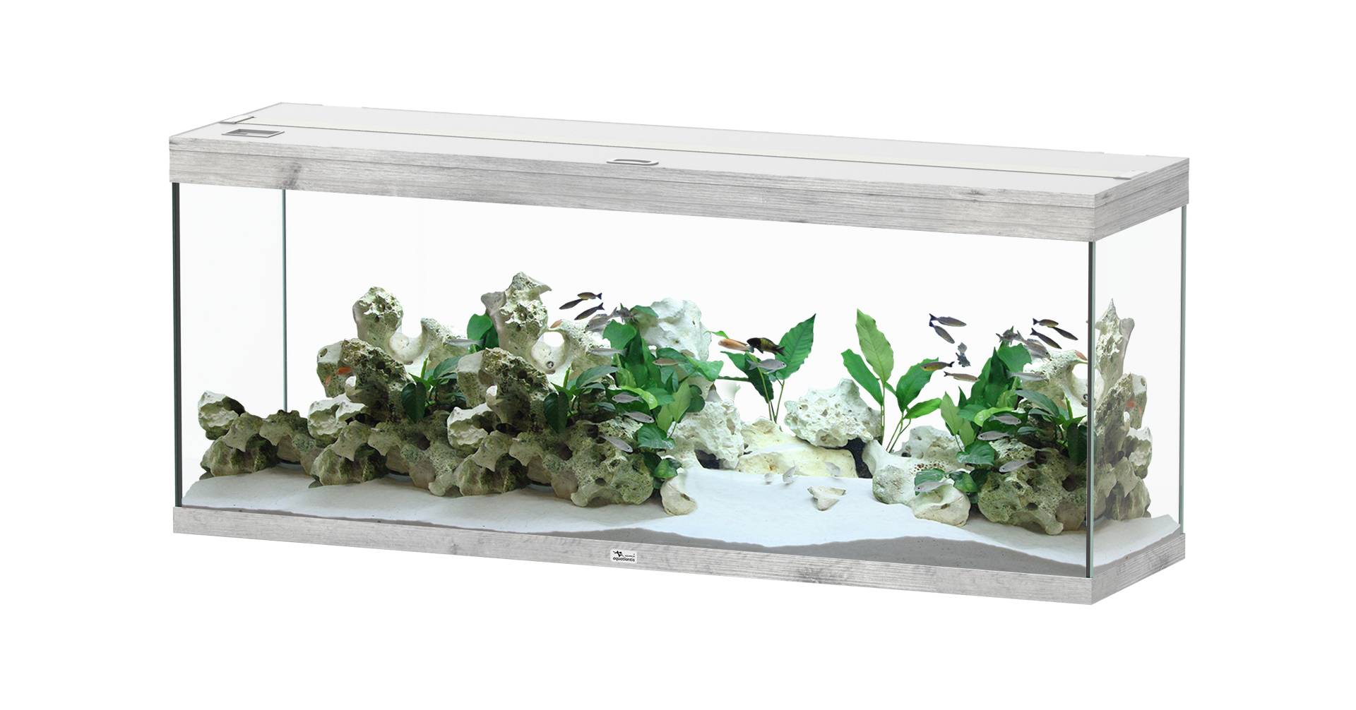 Aquatlantis - Aquarium pour poissons Splendid  Chêne Blanc 298 L - Aquatlantis - Image 1