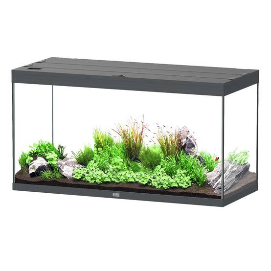 Aquatlantis - Aquarium pour poissons Splendid Ultra 350L Gris Anthracite - Aquatlantis - Image 1