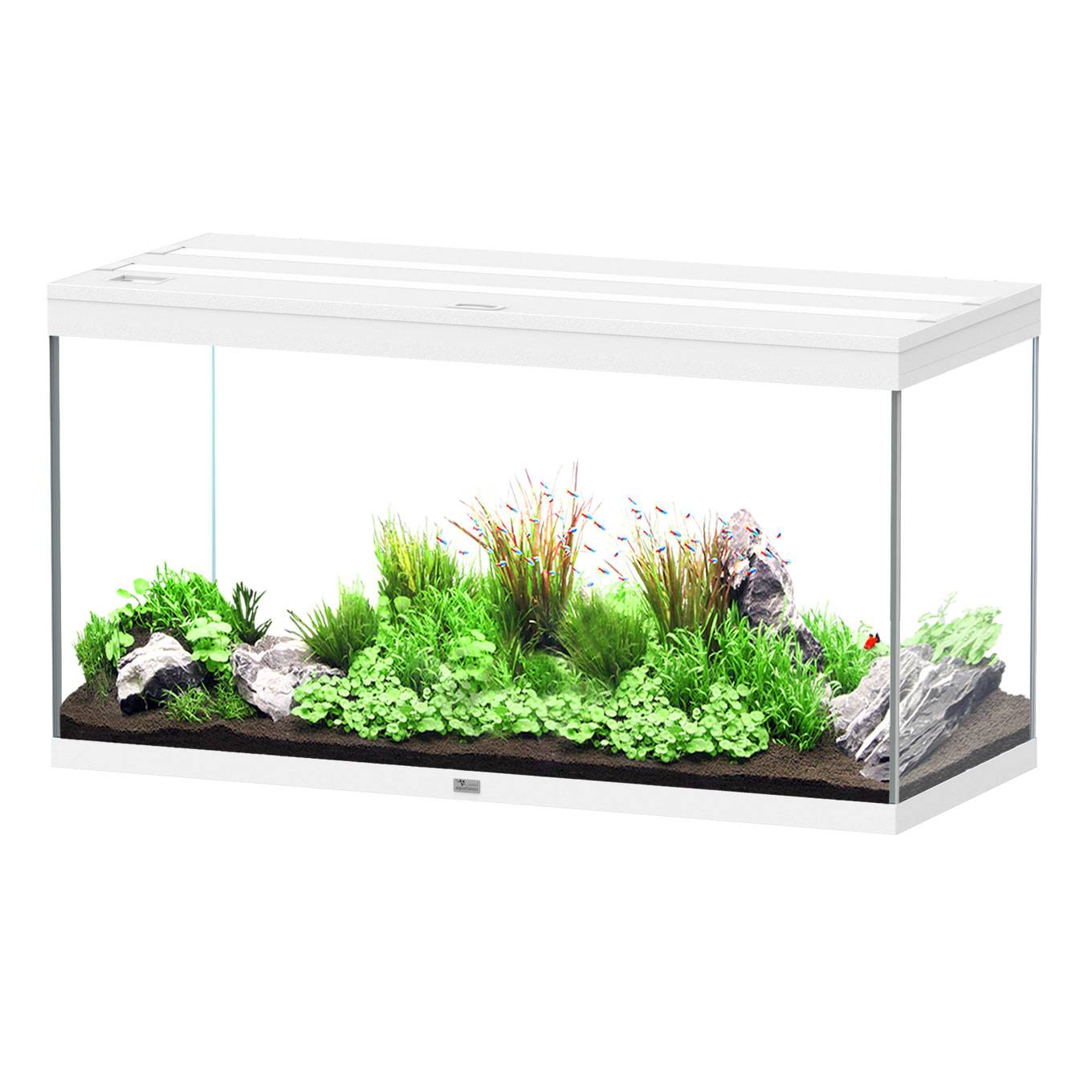 Aquatlantis - Aquarium pour poissons Splendid Ultra EF 350 L - Aquatlantis - Image 1