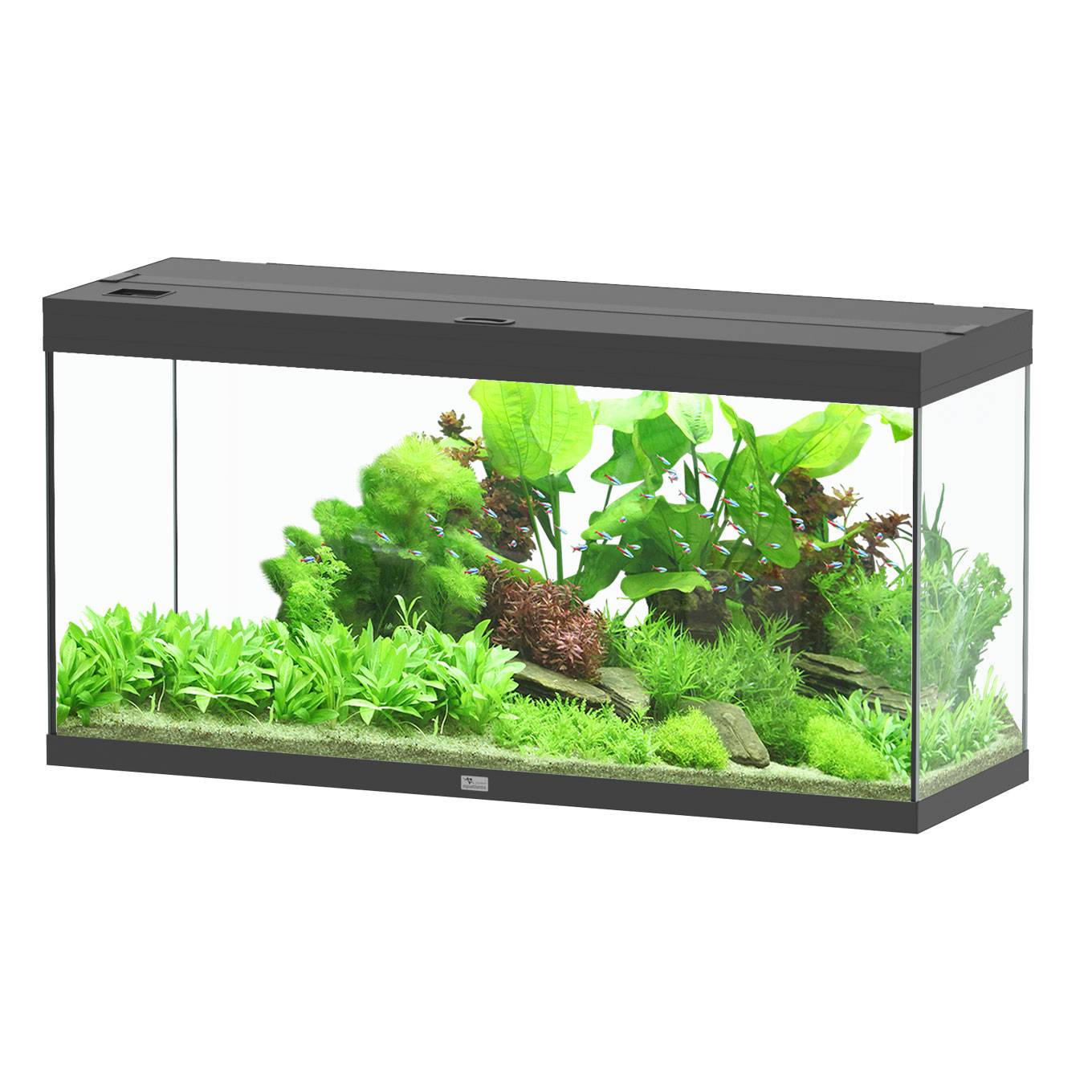 Aquatlantis - Aquarium pour poissons Splendid Noir 240 L - Aquatlantis - Image 1