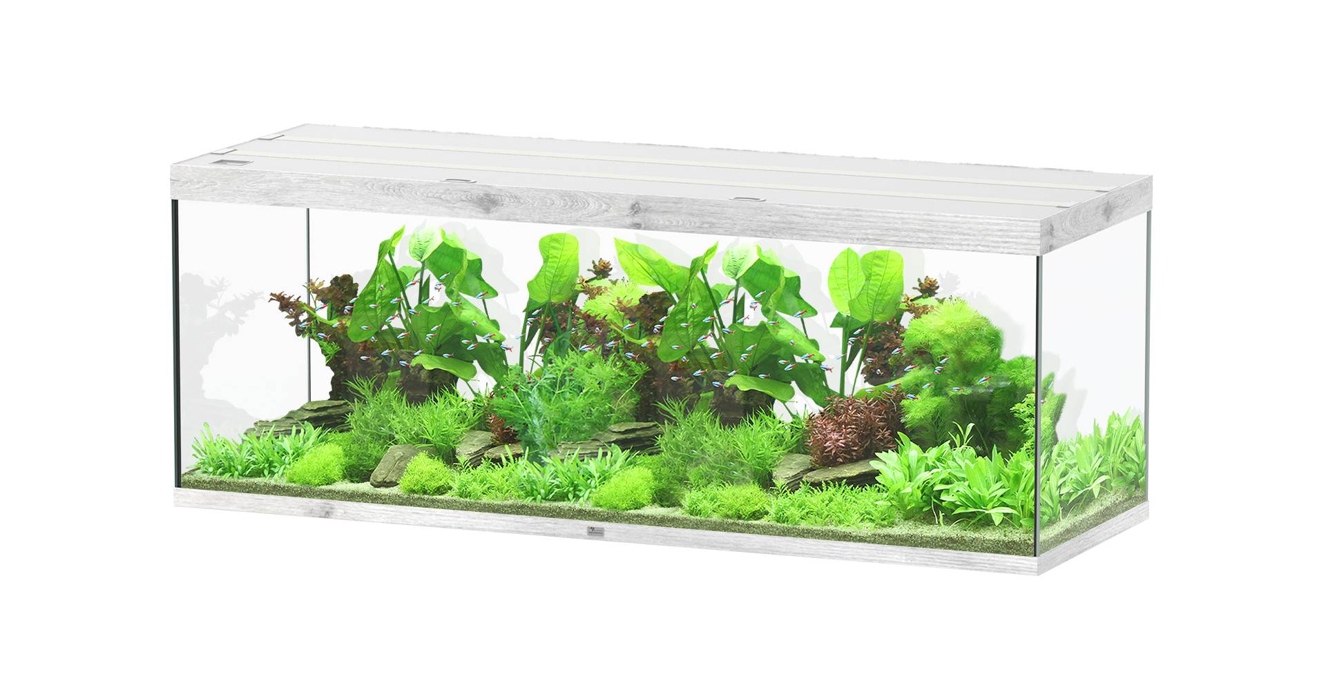 Aquatlantis - Aquarium pour poissons Sublime Ultra  CHÊNE Blanc 853 L- Aquatlantis