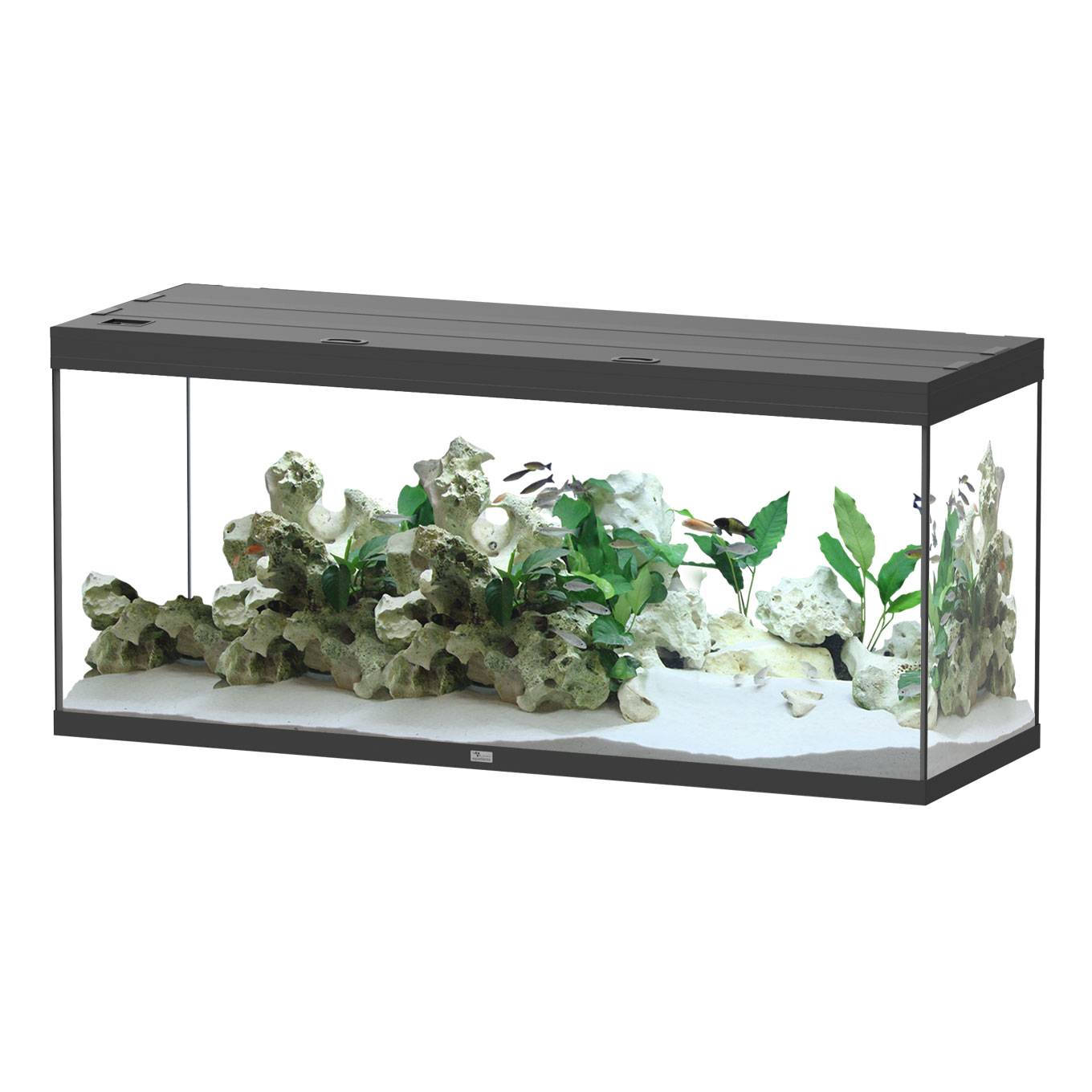 Aquatlantis - Aquarium pour poissons Splendid Ultra Noir 450 L - Aquatlantis - Image 1