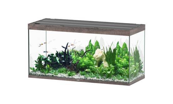 Aquatlantis - Aquarium pour poissons Sublime Chêne Sauvage 544 L- Aquatlantis
