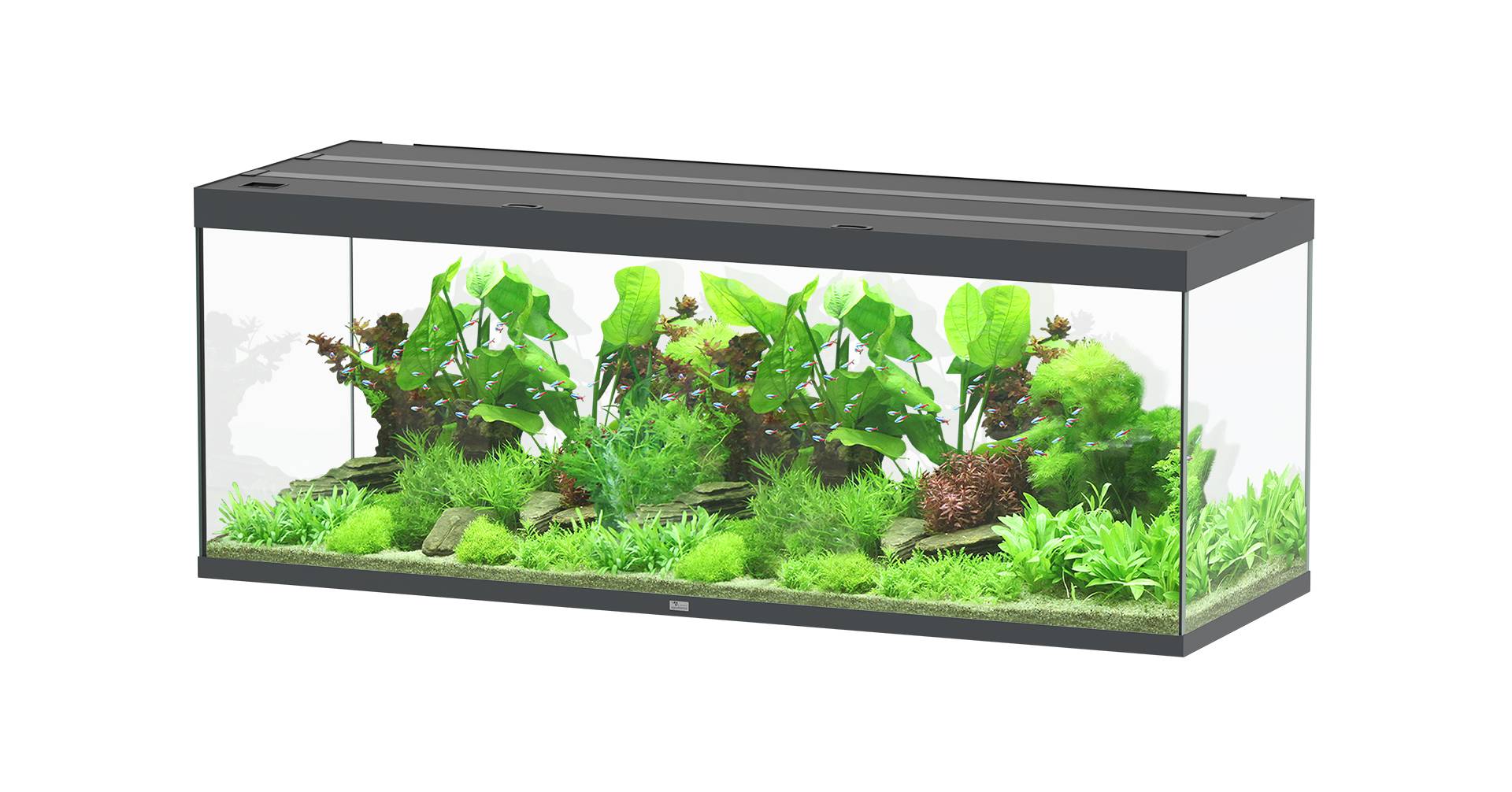Aquatlantis - Aquarium pour poissons Sublime Ultra Gris Anthracite Brillant 853 L - Aquatlantis - Image 1