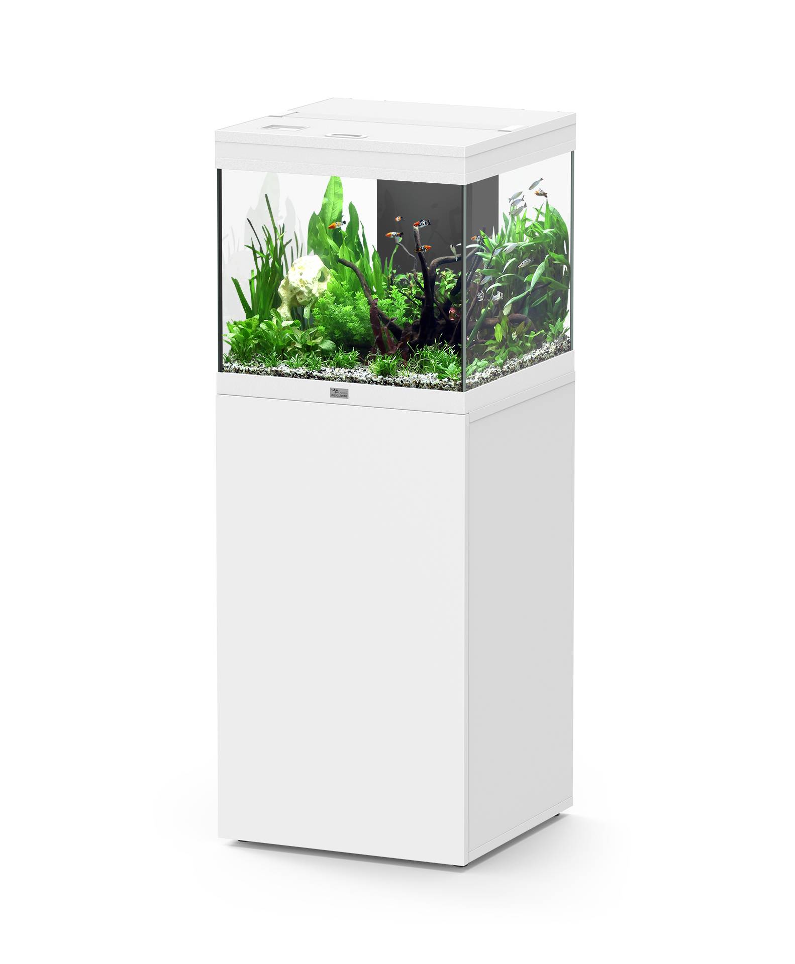 Aquatlantis - Ensemble Aquarium pour poissons + Meuble Blanc 97 L - Aquatlantis - Image 1
