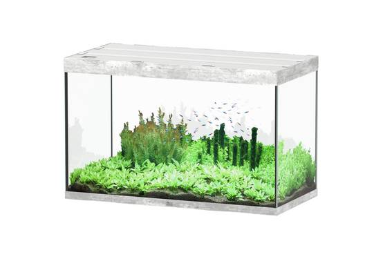 Aquatlantis - Aquarium pour poissons Sublime Béton 433 L - Aquatlantis - Image 1