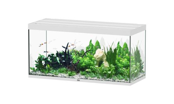 Aquatlantis - Aquarium pour poissons Sublime Blanc 544 L - Aquatlantis - Image 1