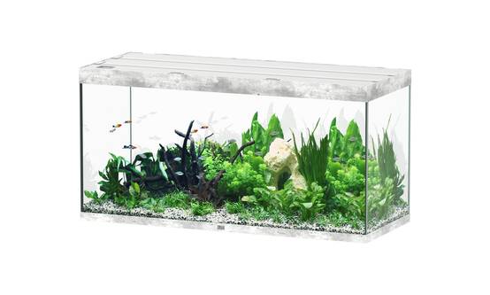 Aquatlantis - Aquarium pour poissons Sublime Béton 544 L - Aquatlantis - Image 1