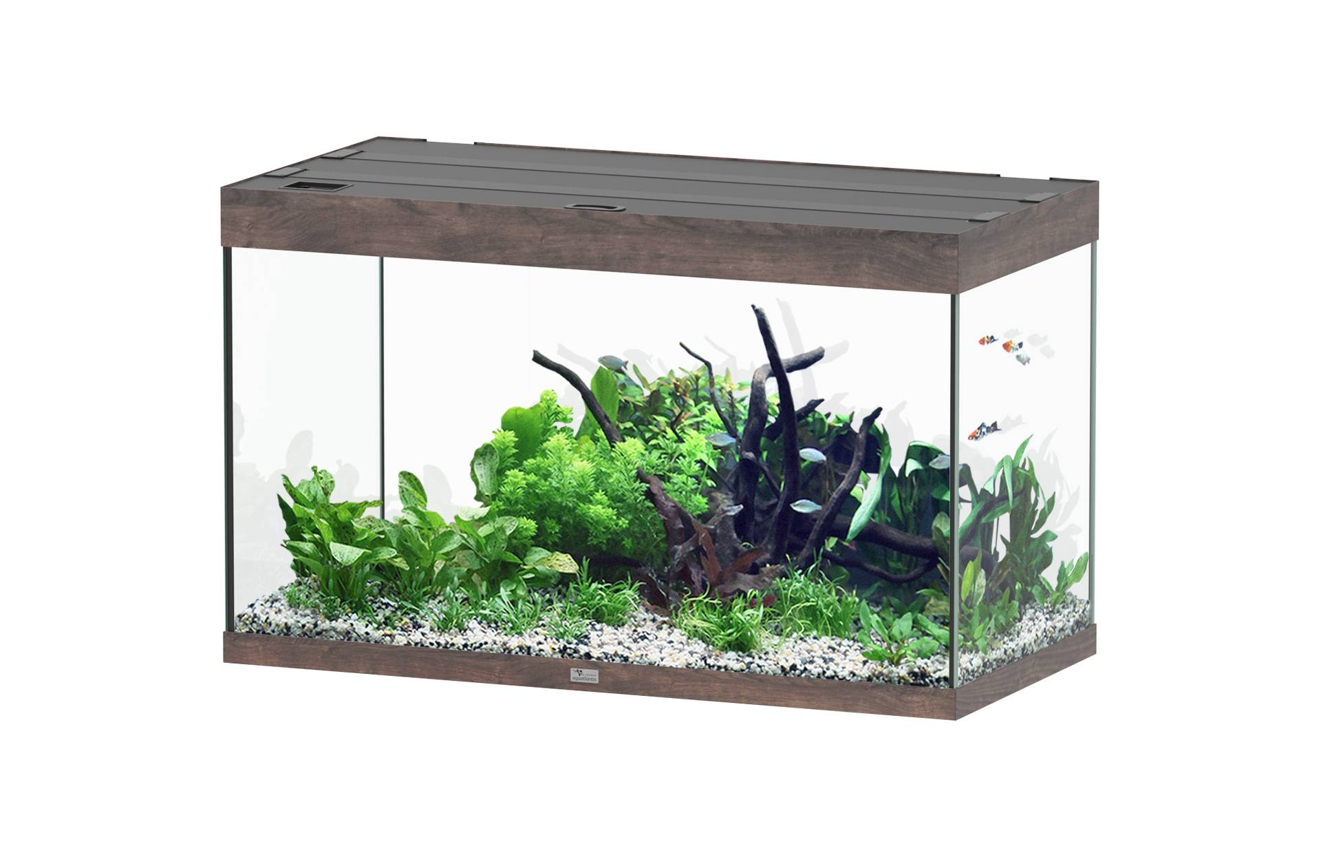Aquatlantis - Aquarium pour poissons Sublime Ultra Chêne Sauvage 246 L -Aquatlantis - Image 1