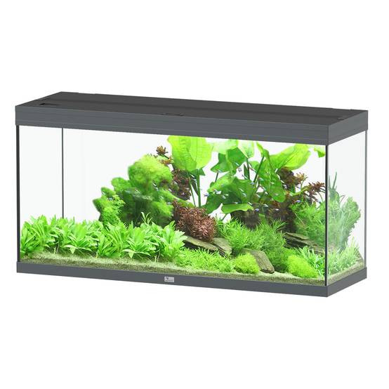 Aquatlantis - Aquarium pour poissons Splendid Ultra Gris Anthracite 240 L - Aquatlantis - Image 1