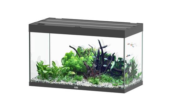 Aquatlantis - Aquarium pour poissons Sublime Ultra Noir Brillant 246L - Aquatlantis - Image 1