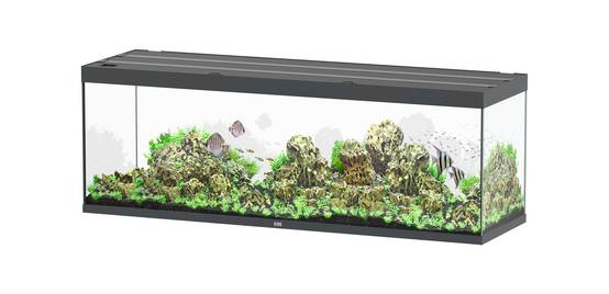 Aquatlantis - Aquarium pour poissons Sublime Ultra Gris Brillant 675 L - Aquatlantis