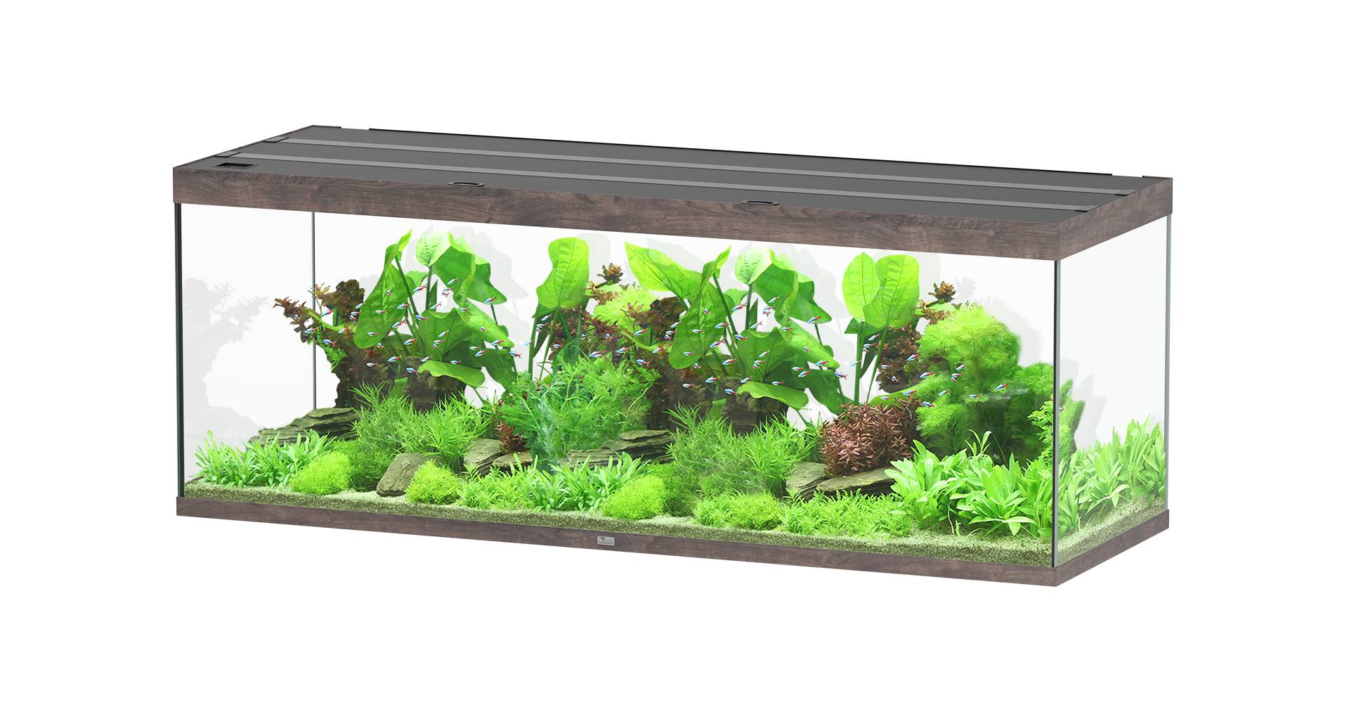 Aquatlantis - Aquarium pour poissons Sublime Ultra Chêne Sauvage 853 L - Aquatlantis - Image 1