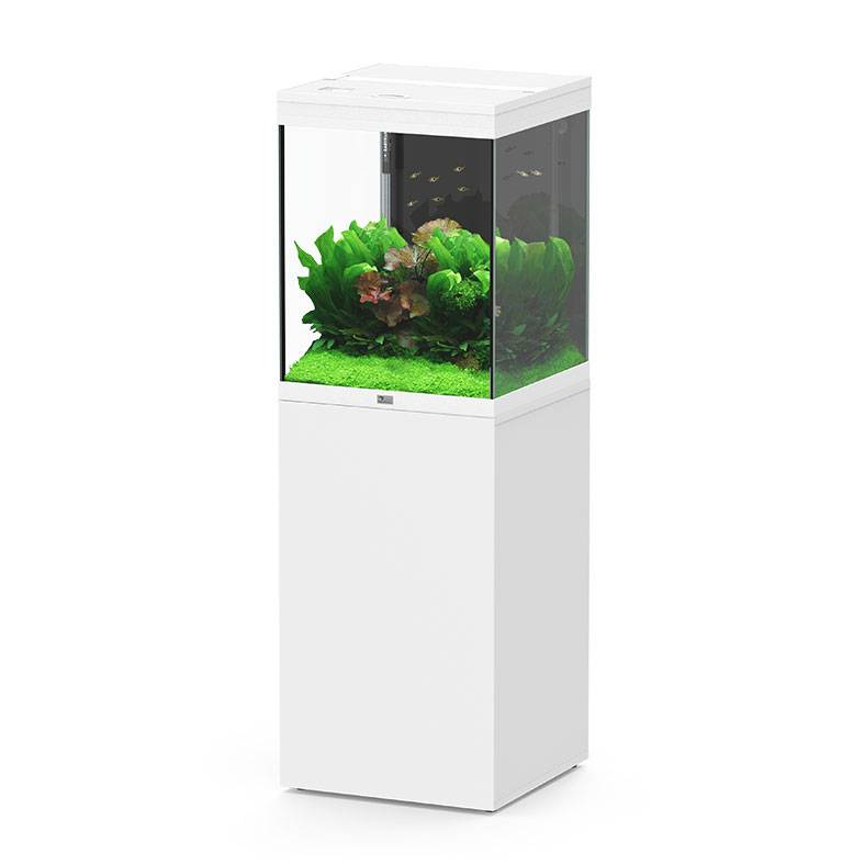 Aquatlantis - Ensemble Aquarium pour poissons + Meuble 133 L Blanc - Aquatlantis
