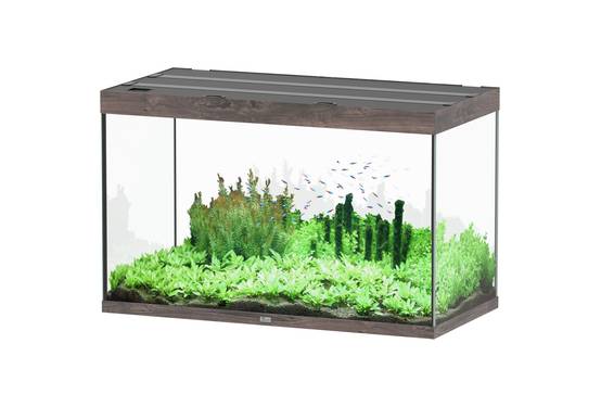 Aquatlantis - Aquarium pour poissons Sublime Chêne Sauvage 433 L - Aquatlantis