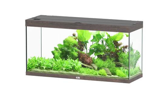 Aquatlantis - Aquarium pour poissons Splendid Ultra Chêne sauvage 240 L - Aquatlantis - Image 1
