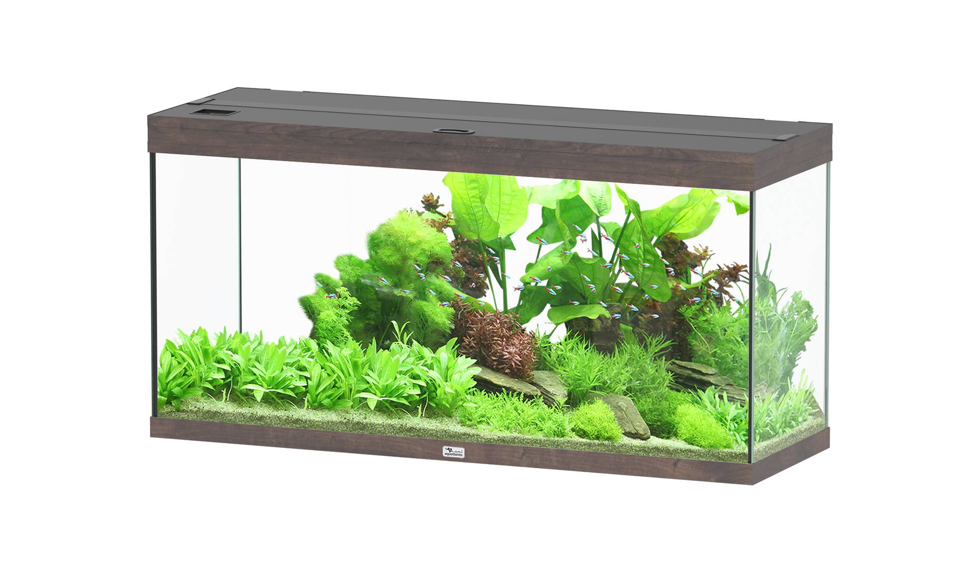 Aquatlantis - Aquarium pour poissons Splendid Ultra Chêne sauvage 240 L - Aquatlantis - Image 1