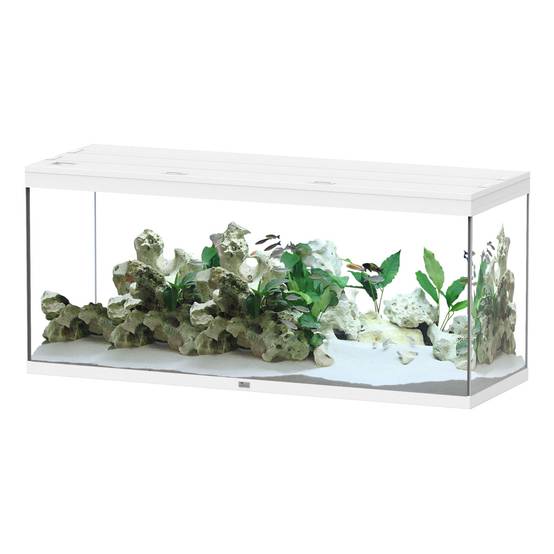 Aquatlantis - Aquarium pour poissons Splendid Ultra Blanc 450 L L.150 x l.50 x H.68 cm - Aquatlantis - Image 1