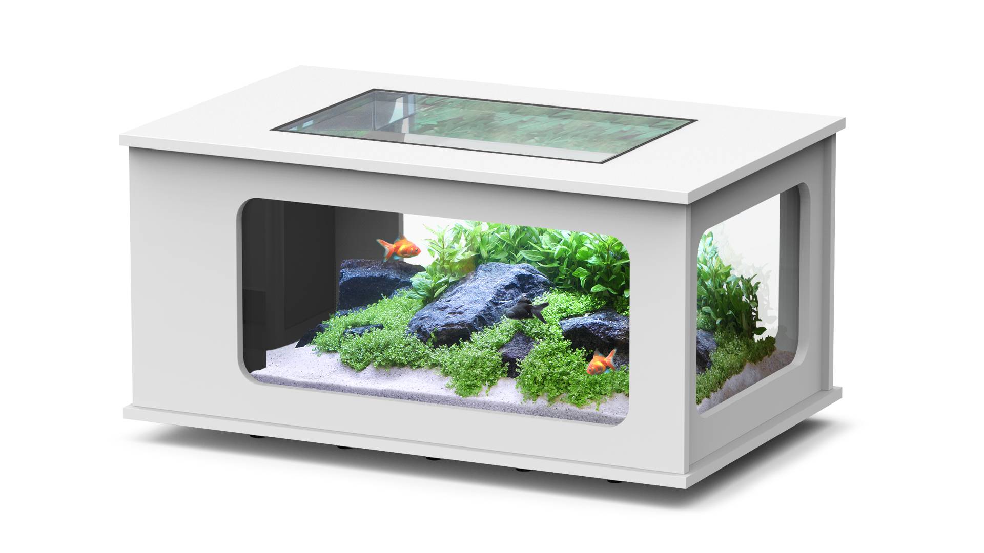 Aquatlantis - Aquarium pour poissons Aquatable  Blanc 177 L - Aquatlantis - Image 1