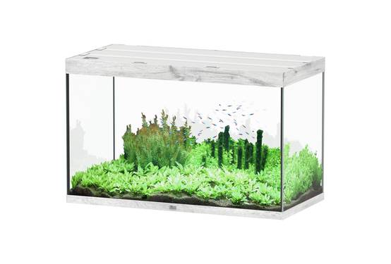 Aquatlantis - Aquarium pour poissons Sublime Ultra Chêne Blanc 433 L - Aquatlantis