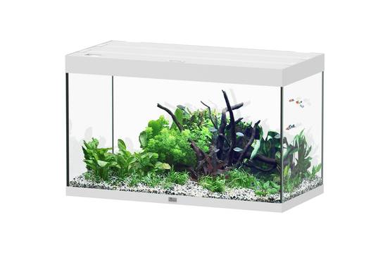 Aquatlantis - Aquarium pour poissons Sublime Blanc Brillant 246 L - Aquatlantis - Image 1