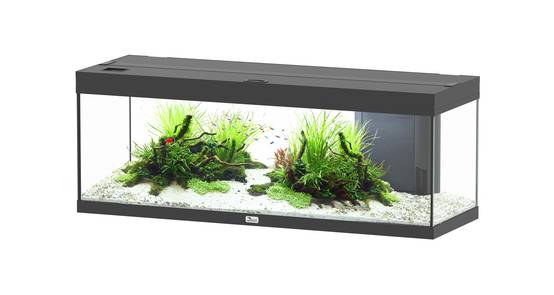 Aquatlantis - Aquarium pour poissons Prestige Noir 170L - Aquatlantis - Image 1