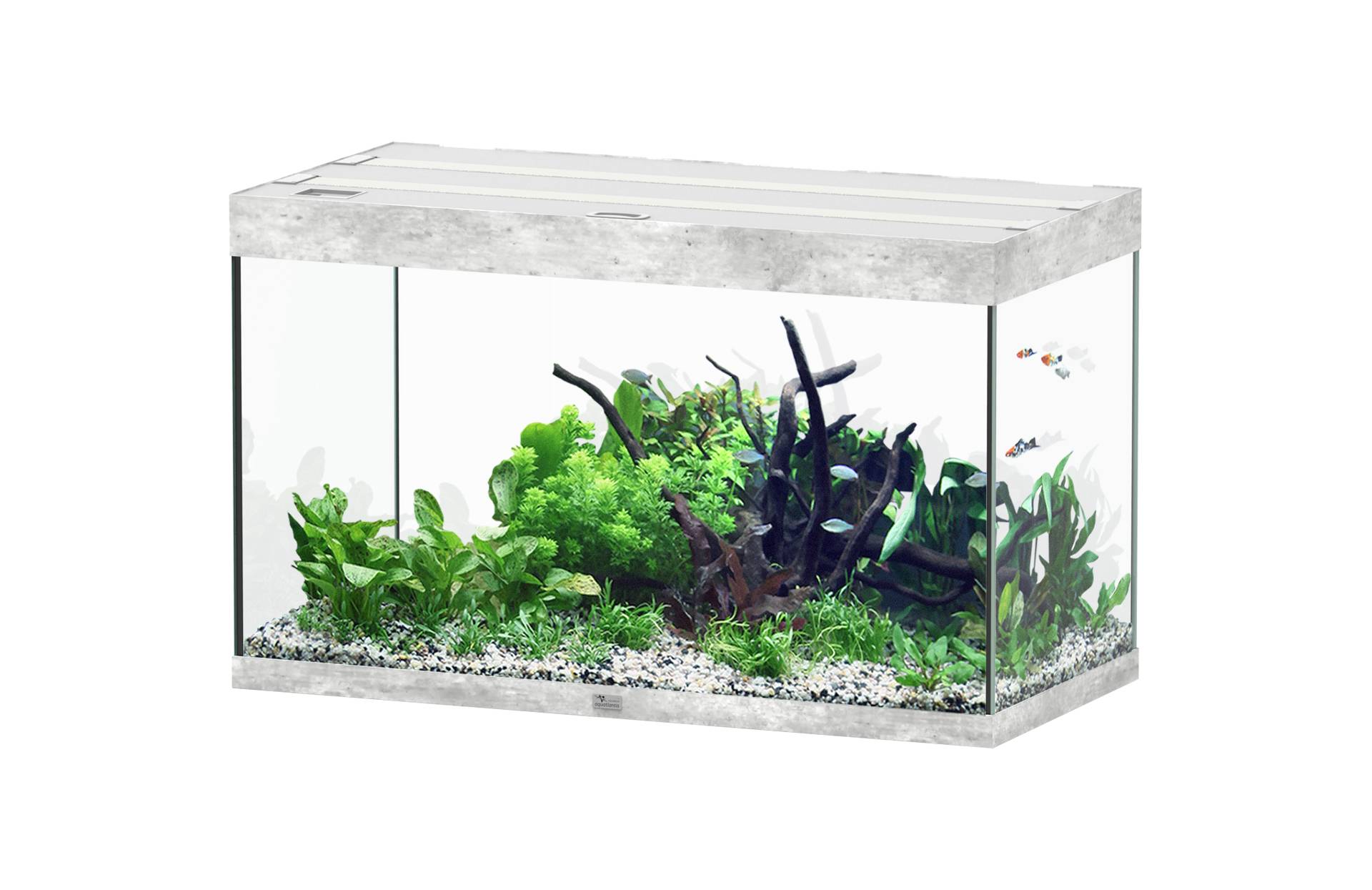 Aquatlantis - Aquarium pour poissons Sublime Ultra Béton 246 L -Aquatlantis - Image 1