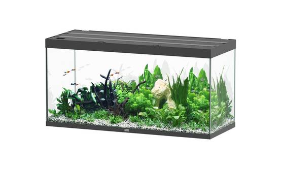 Aquatlantis - Aquarium pour poissons Sublime Noir Brillant 544 L - Aquatlantis - Image 1
